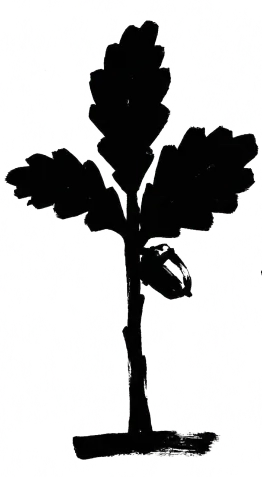 Sprößling — Wachstum